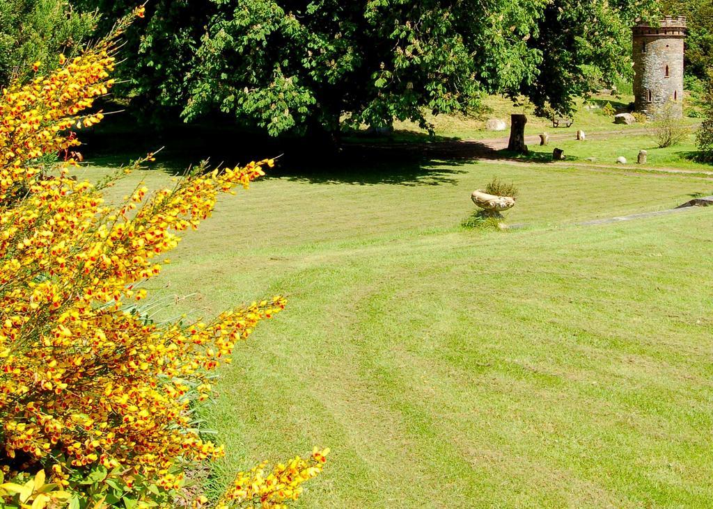 The Urr Valley Country House Hotel Касъл Дъглас Екстериор снимка