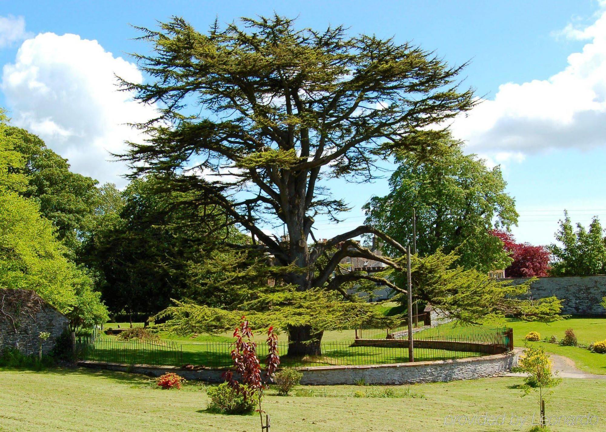 The Urr Valley Country House Hotel Касъл Дъглас Екстериор снимка
